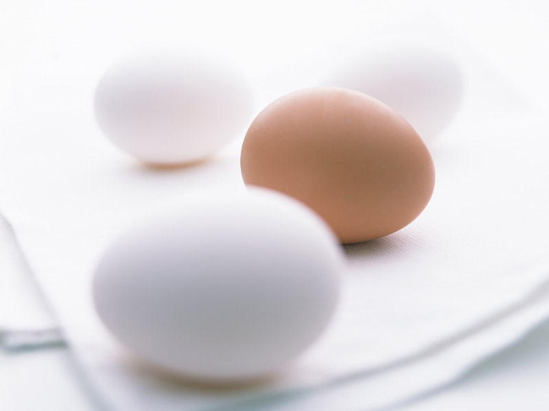 �����L����